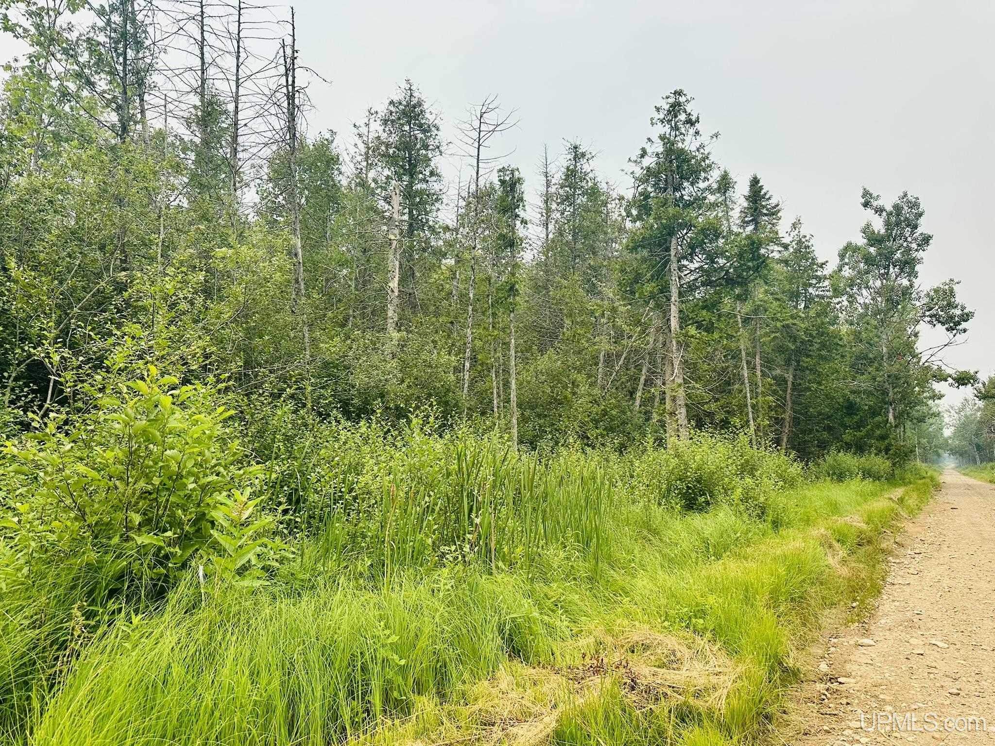 Tbd I Road Bark River, MI 49807 - Photo 4 of 4