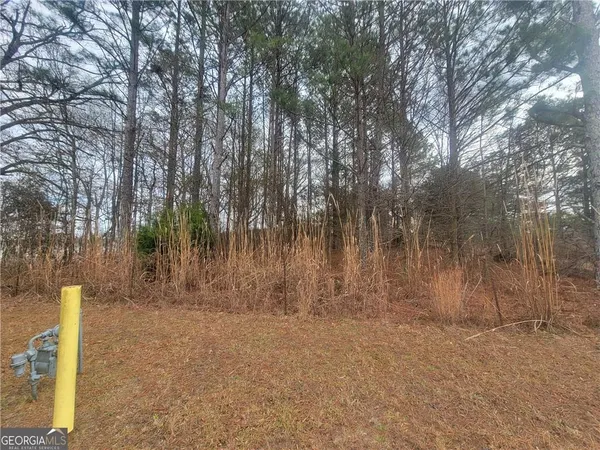 a view of outdoor space with lots of trees