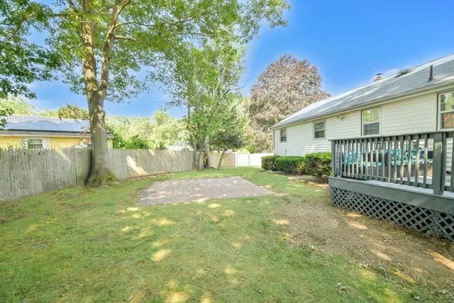 a view of a garden with a tree