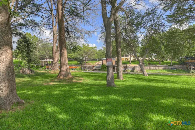 a view of a park with large trees