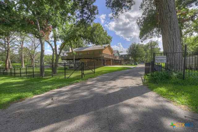 a view of a park with a large trees