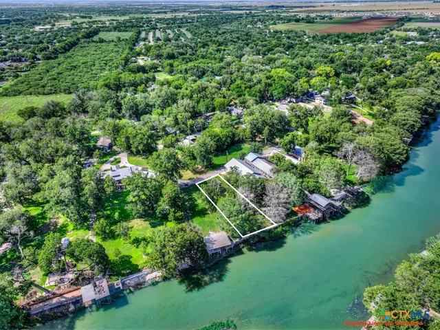 a view of a yard with plants