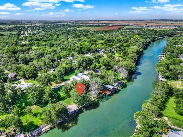 a view of a bunch of plants and trees
