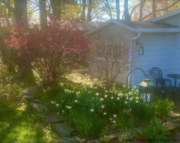 a view of a swimming pool with a garden