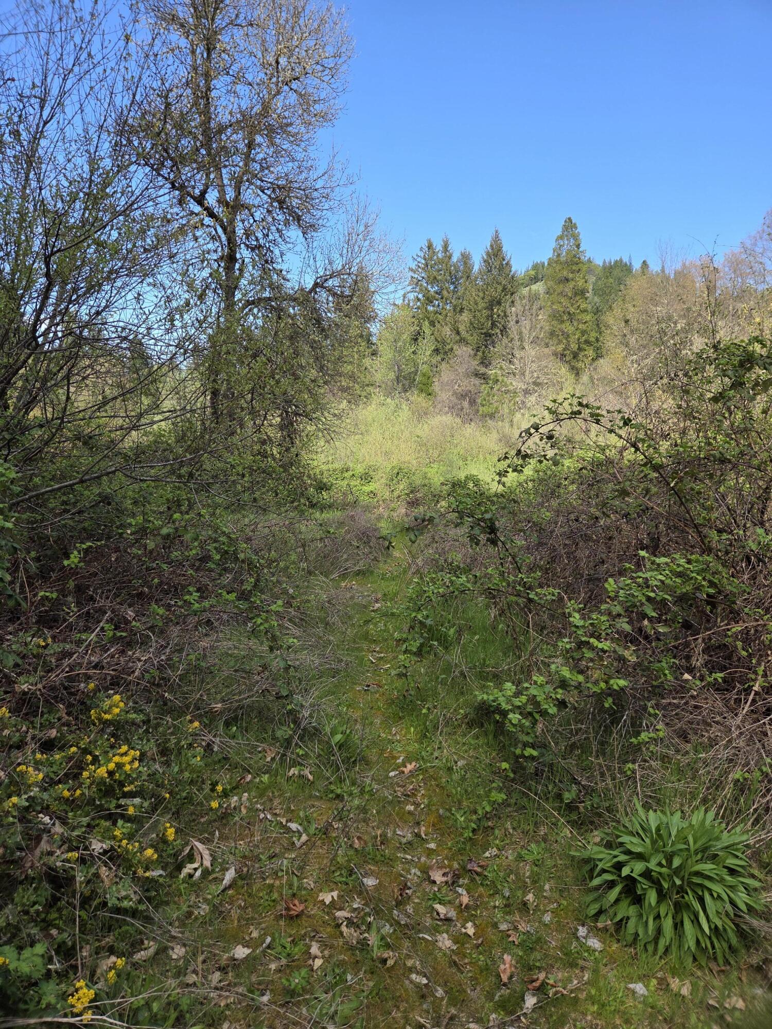 3760 Pleasant Creek Road Rogue River, OR 97537 - Photo 28 of 36