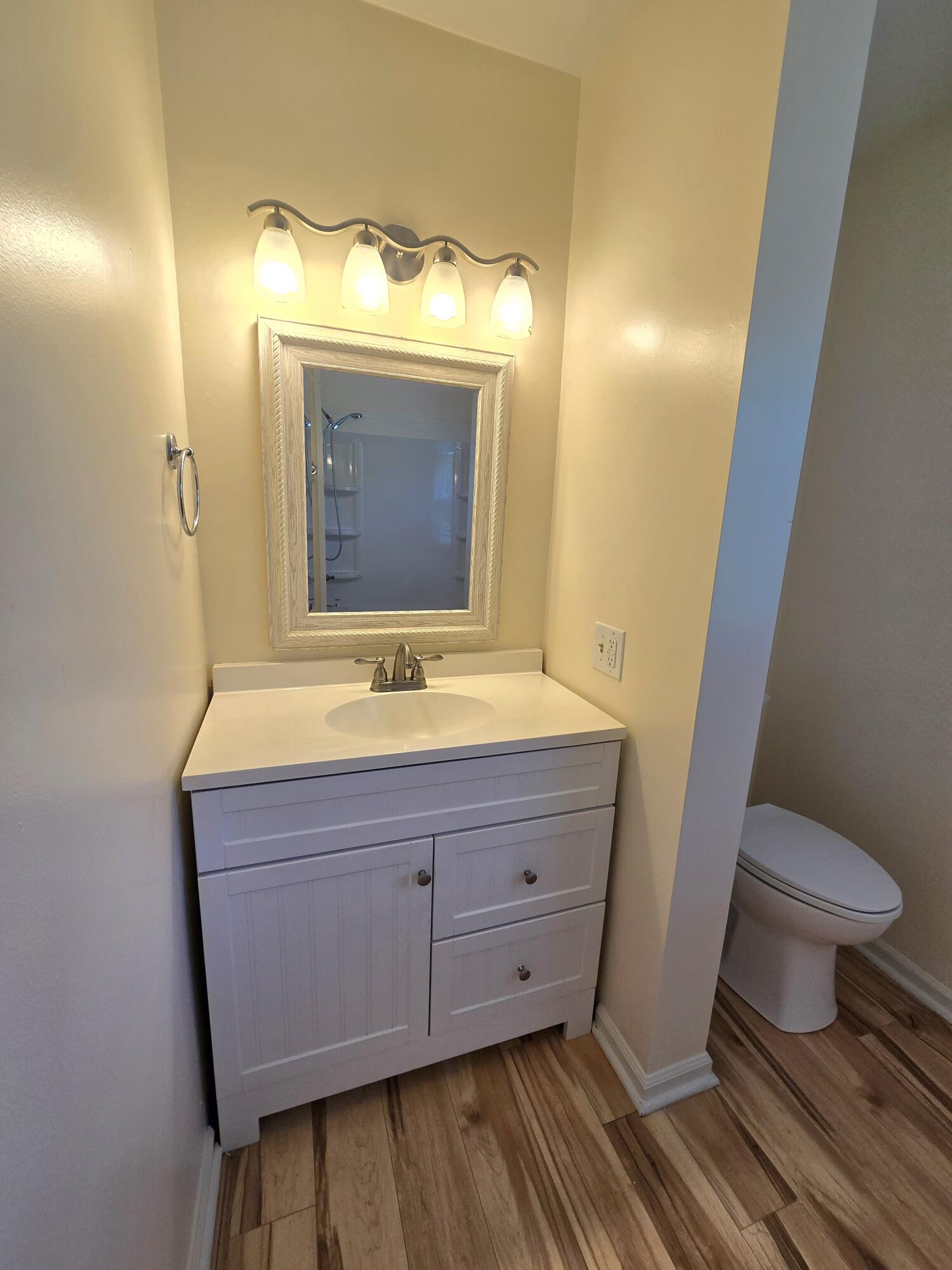 394 Craig Creek Road Eagle Rock, VA 24085 - Photo 15 of 25 Craig Ck Vanity2