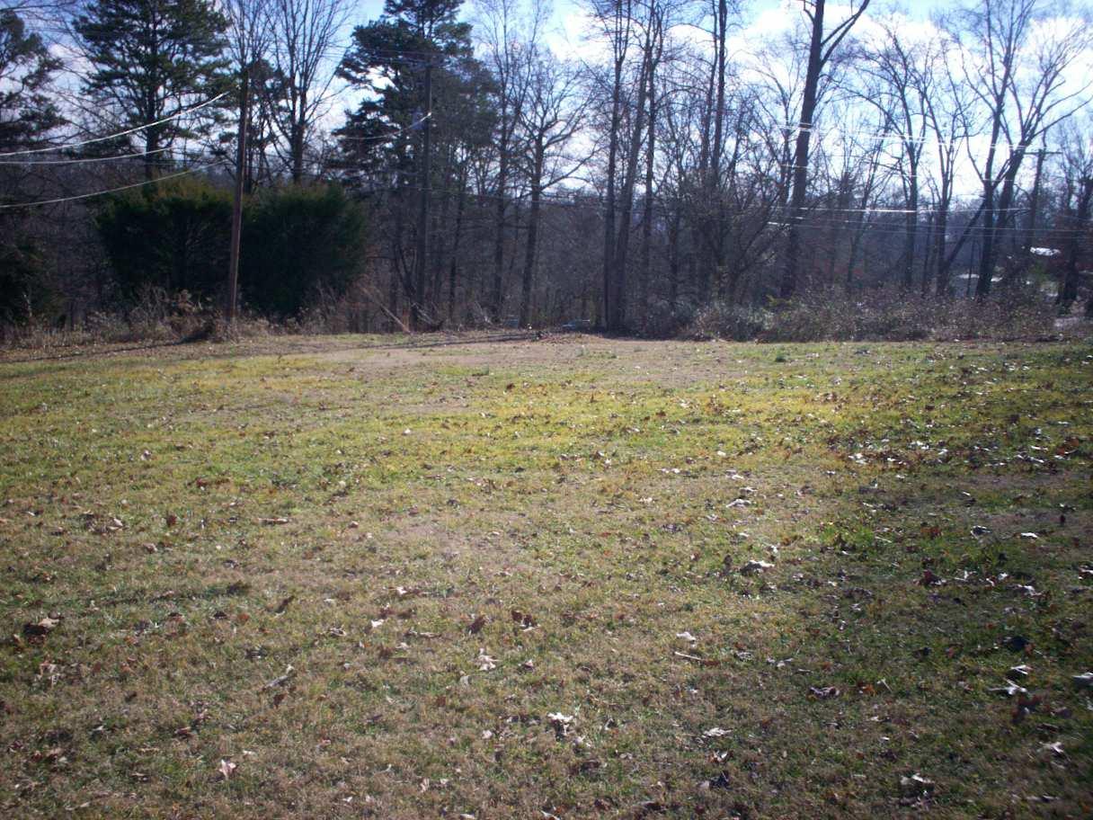 3563 Clear Springs Road Mascot, TN 37806 - Photo 10 of 11 Clear Springs (18)