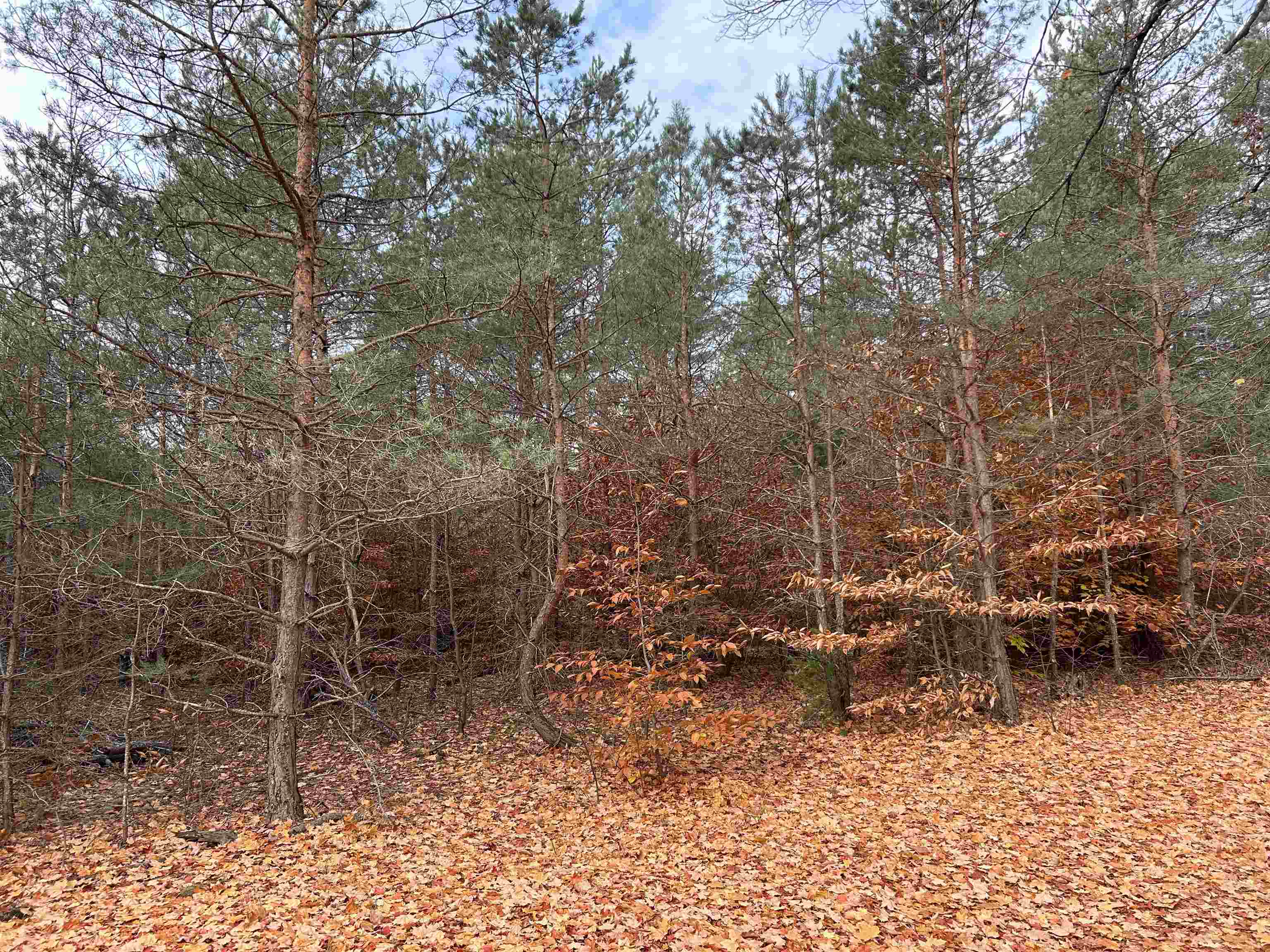 669 Rd Thompsonville Mi 49683 Road Beulah, MI 49617 - Photo 2 of 17