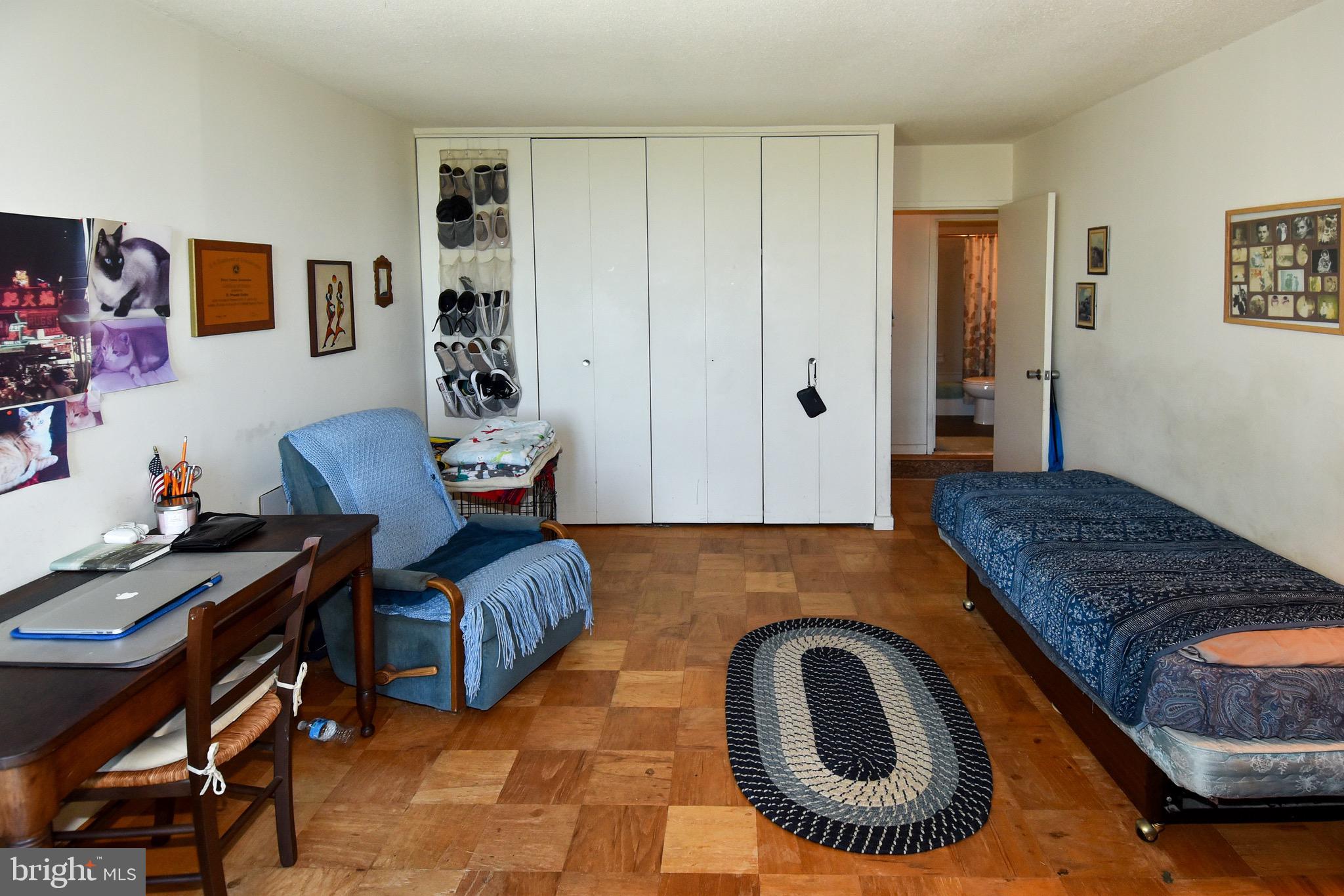 429 N Street Southwest, Unit S607 Washington, DC 20024 - Photo 19 of 55 a living room with furniture and a rug