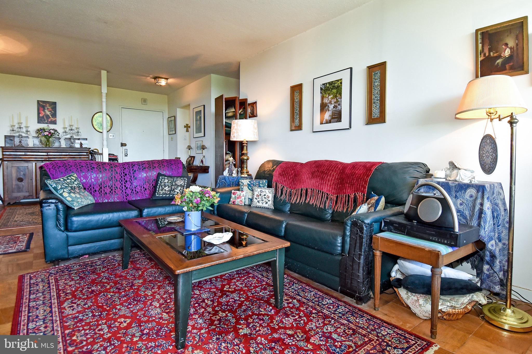 429 N Street Southwest, Unit S607 Washington, DC 20024 - Photo 7 of 55 a living room with furniture a rug and a lamp