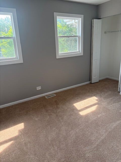 1005 East Olde Virginia Road Palatine, IL 60074 - Photo 15 of 21 Gallery Image 15