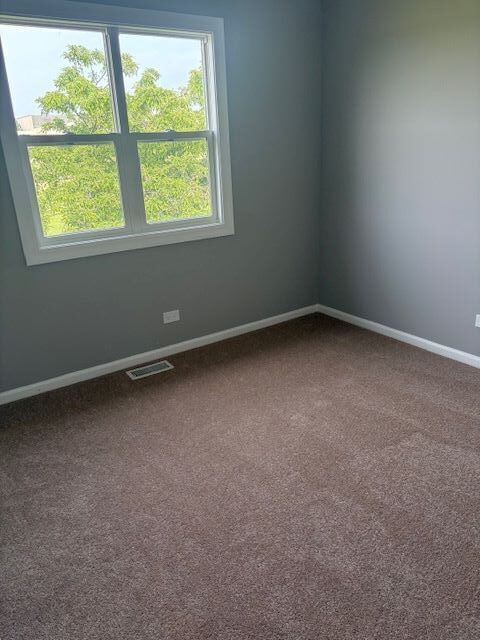 1005 East Olde Virginia Road Palatine, IL 60074 - Photo 18 of 21 Gallery Image 18