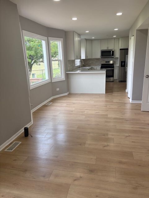 1005 East Olde Virginia Road Palatine, IL 60074 - Photo 7 of 21 Gallery Image 7
