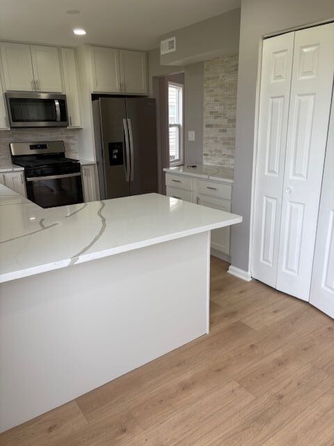 1005 East Olde Virginia Road Palatine, IL 60074 - Photo 8 of 21 Gallery Image 8