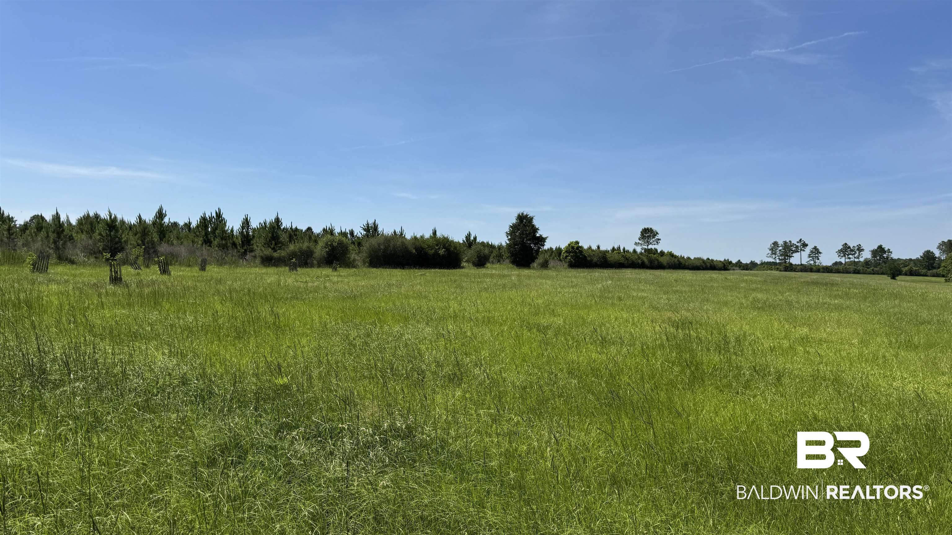 0 County Road 87 Elberta, AL 36530 - Photo 26 of 46
