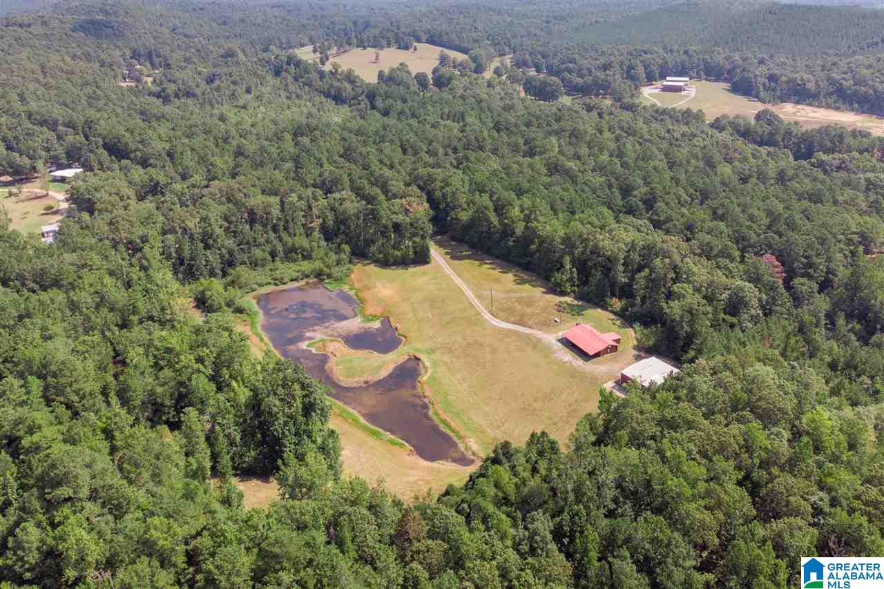 94 Rose Road Vincent, AL 35178 - Photo 4 of 40