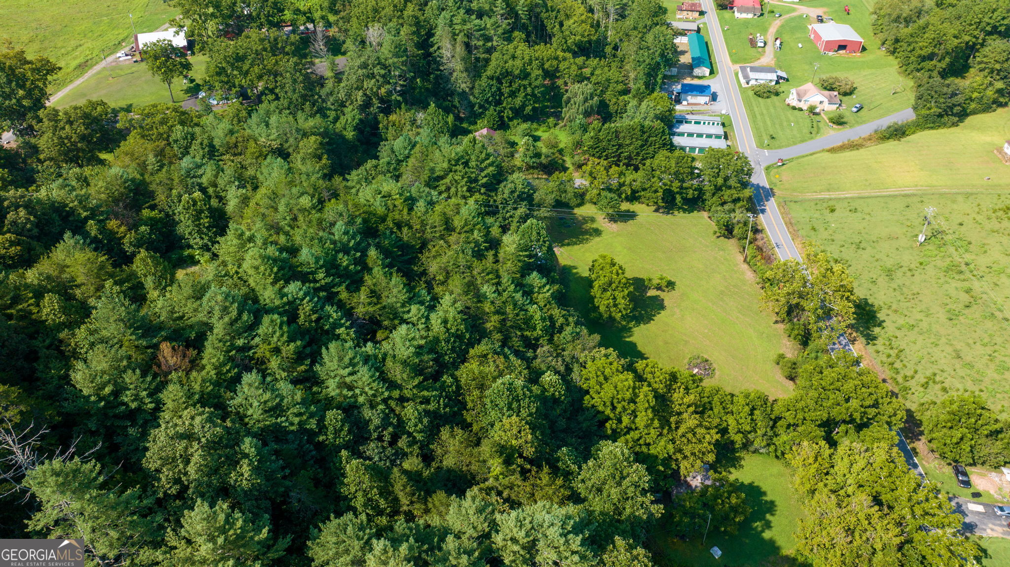 45 Green Cove Road Brasstown, NC 28902 - Photo 11 of 29 Gallery Image 11