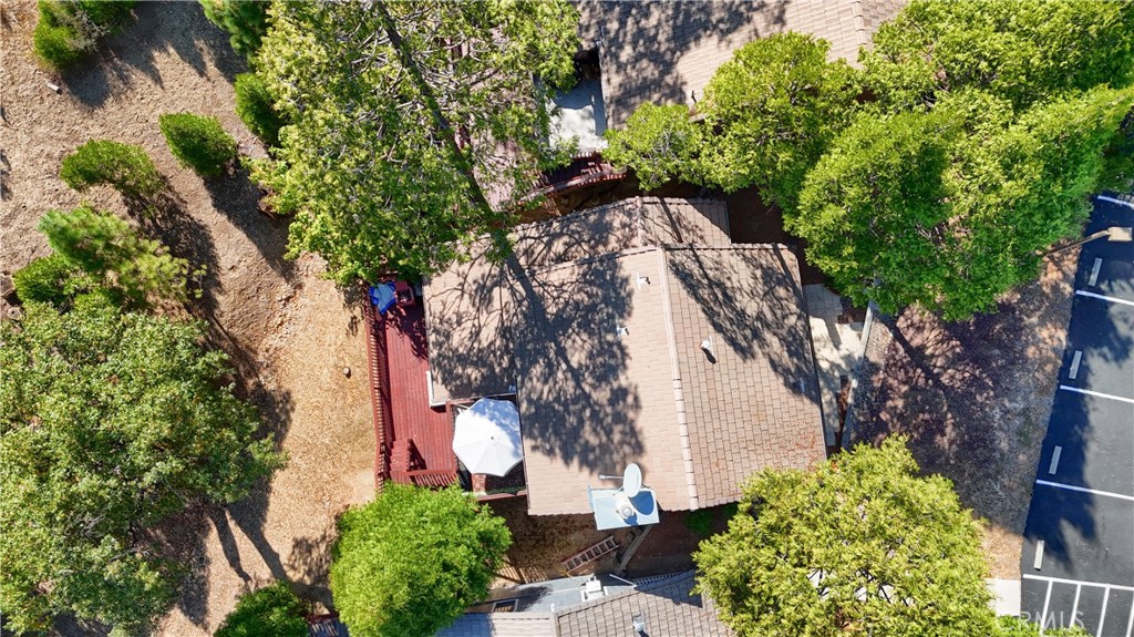 50840 Smoke Tree Trail Bass Lake, CA 93604 - Photo 5 of 36 a view of a yard