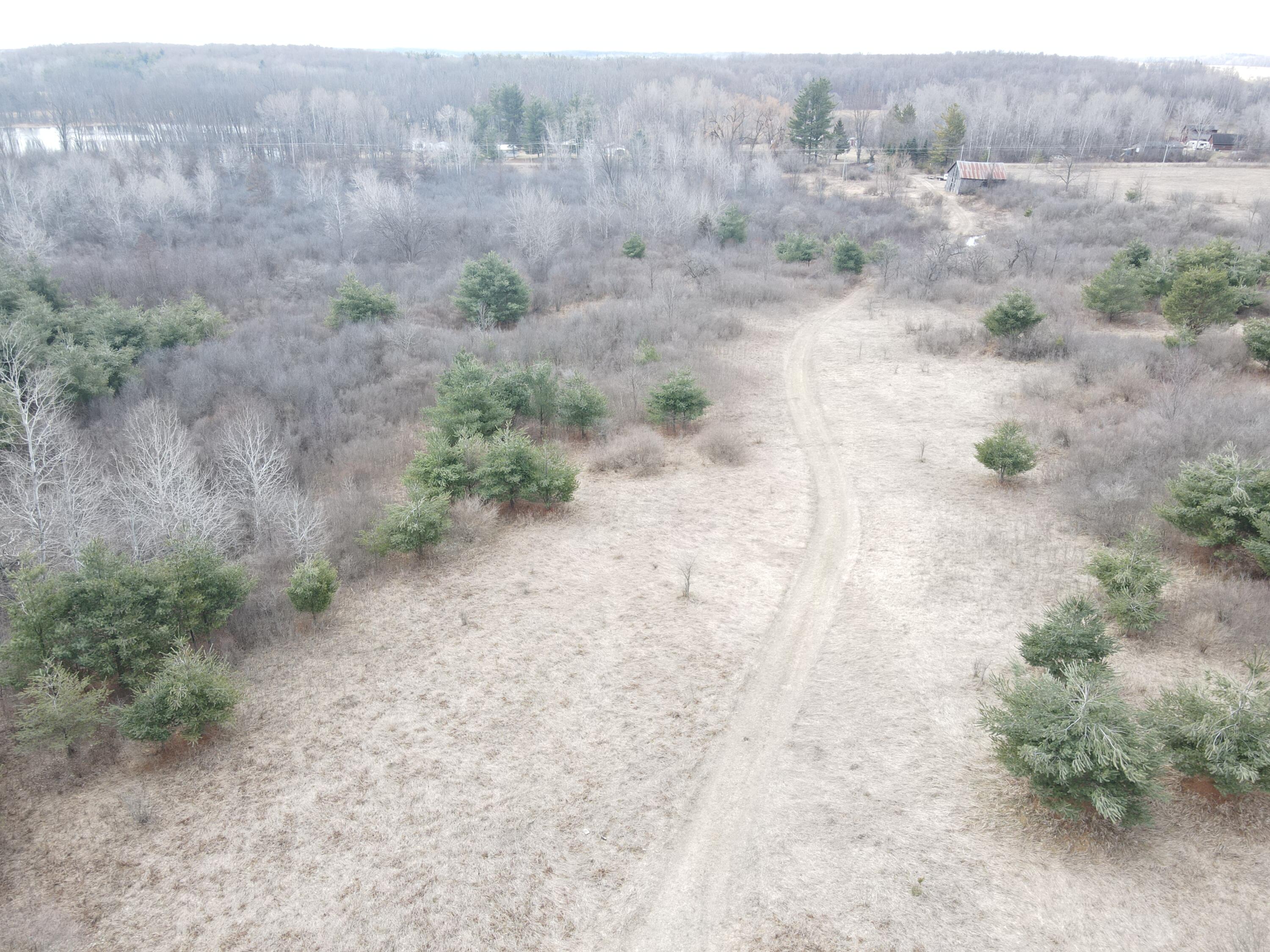 4 4 Mile Road Sears, MI 49679 - Photo 10 of 30 dji_fly_20260327_121626_369_177462819364
