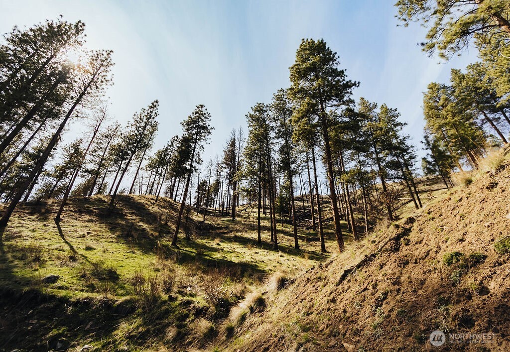 267 Boone Street Conconully, WA 98819 - Photo 28 of 35