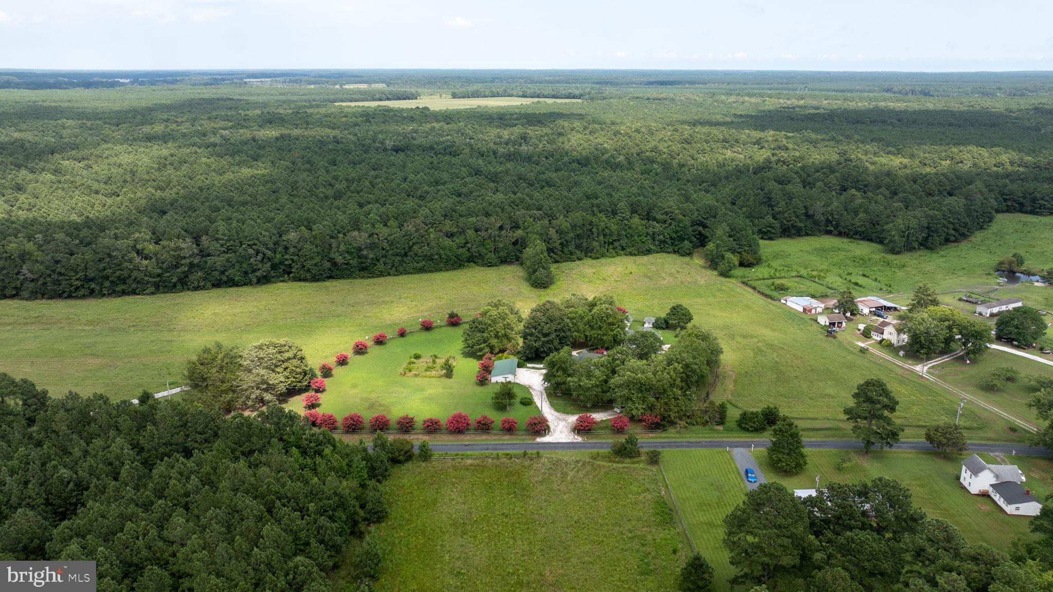 25367 Messongo Road Temperanceville, VA 23442 - Photo 86 of 107