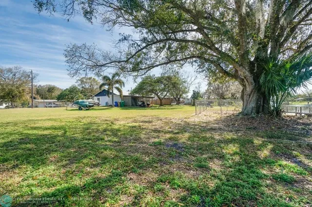 a view of yard with trees