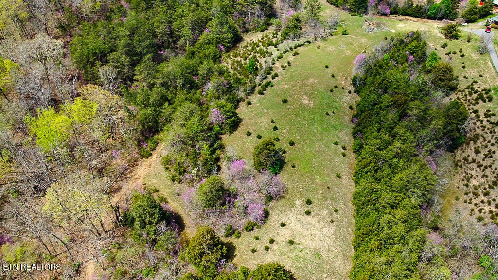 5 Cedar School Road Dandridge, TN 37725 - Photo 3 of 18 Gallery Image 3