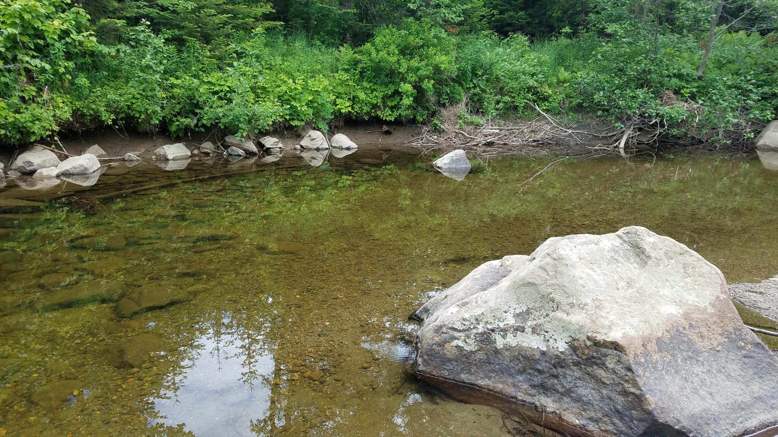 230 Avon Valley Road Avon, ME 04966 - Photo 34 of 56 20200615_153751