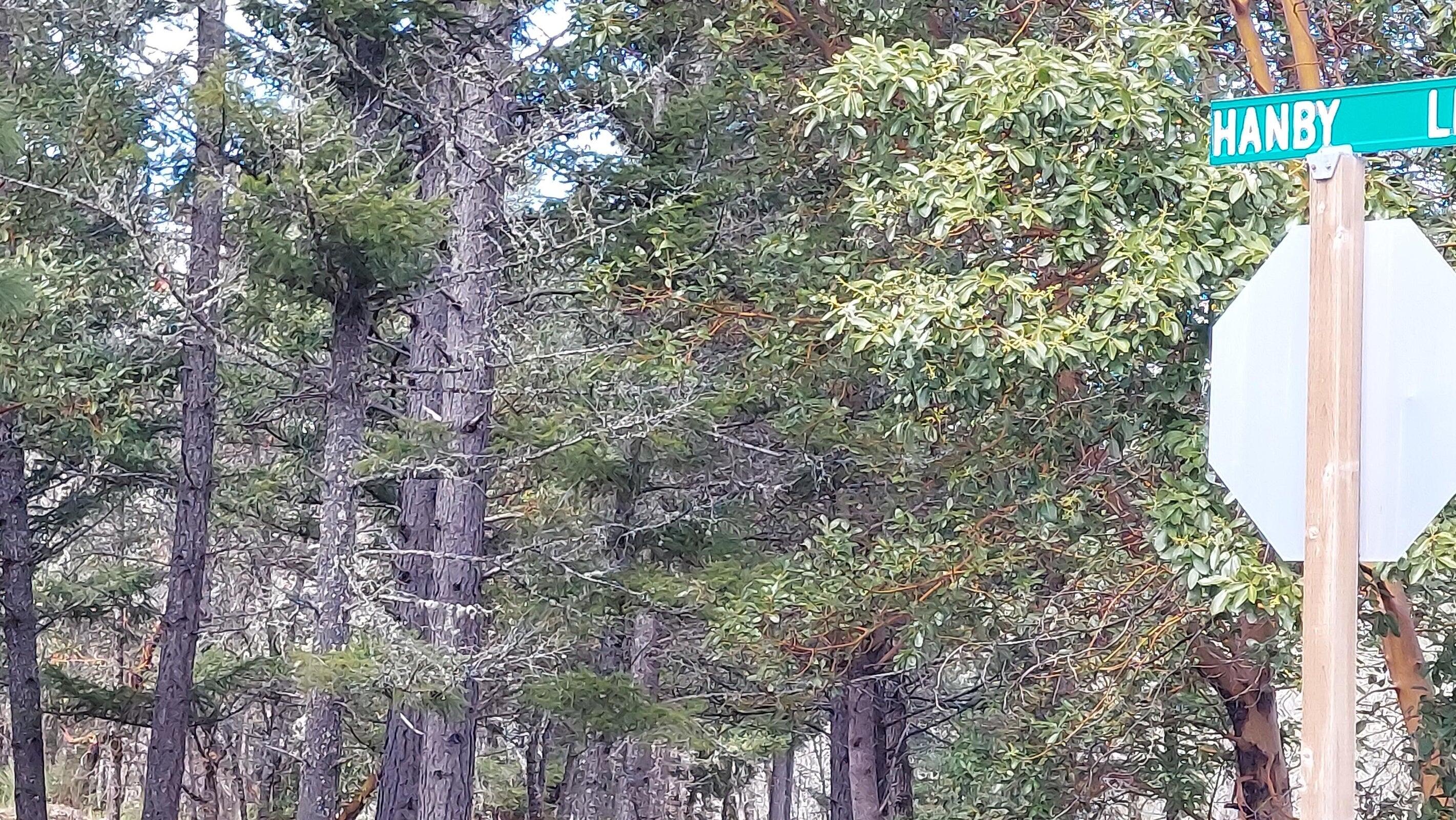 Redwood Highway O'Brien, OR 97534 - Photo 2 of 12 01