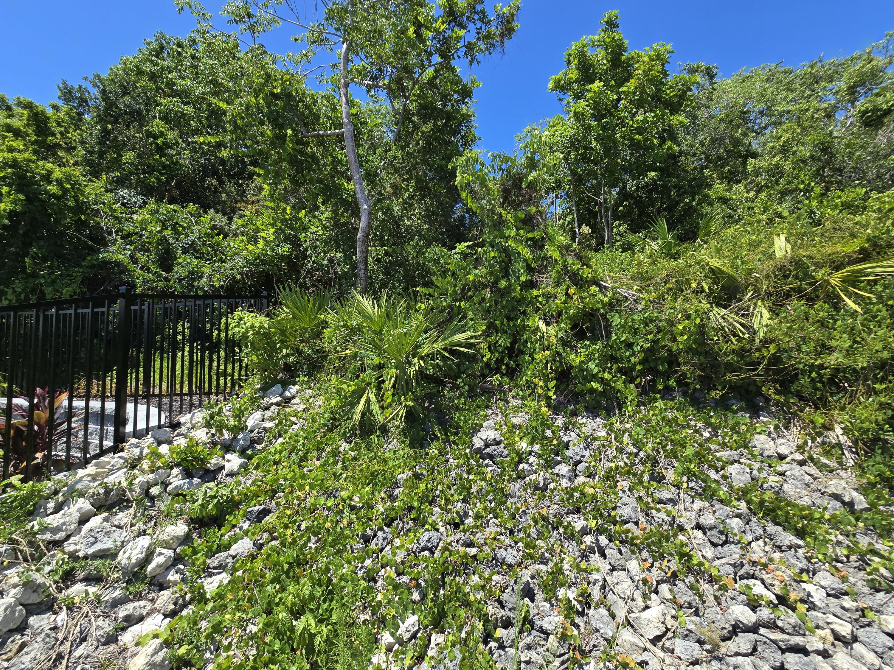 2049 San Marco Road Marco Island, FL 34145 - Photo 14 of 71 Southeast Back Corner of Lot!