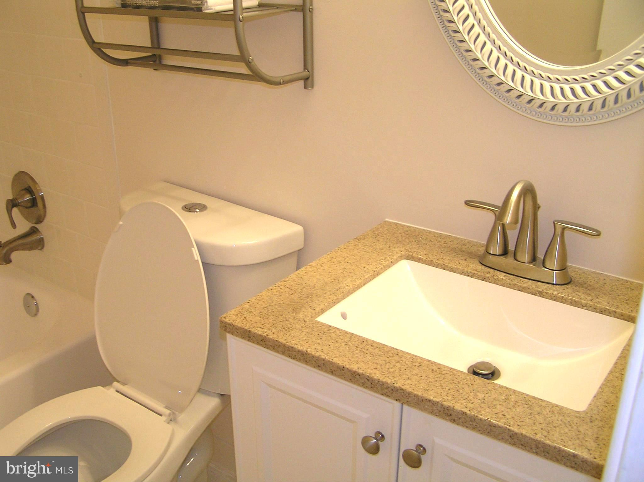 10053 Chestnut Wood Lane Burke, VA 22015 - Photo 17 of 28 a bathroom with a granite countertop sink and a mirror