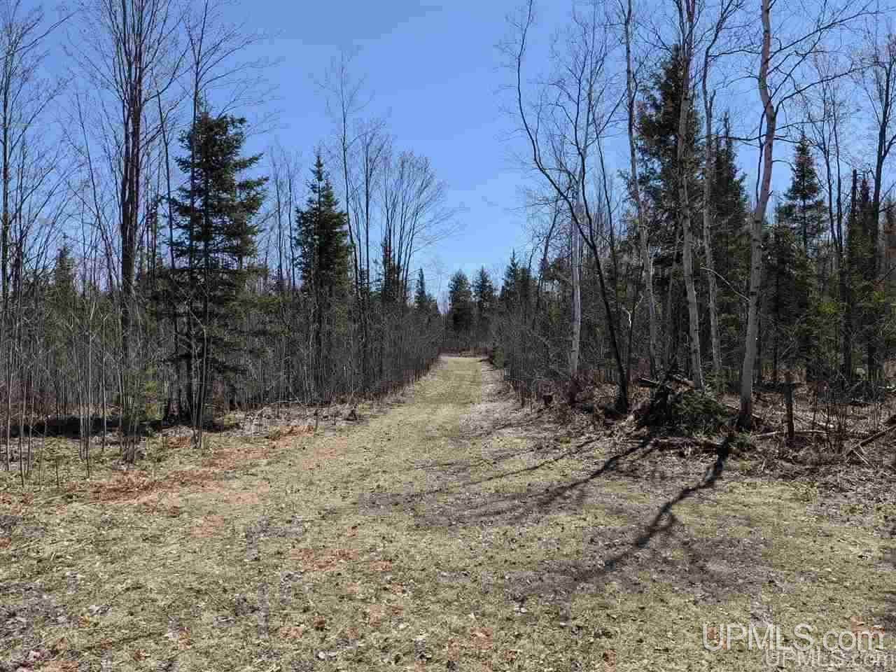 Tbd Off Leeman Road, Unit SENW NESW Sagola, MI 49881 - Photo 13 of 18