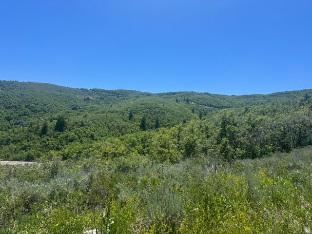 6000 Old Snow Basin Road Huntsville, UT 84317 - Photo 12 of 14