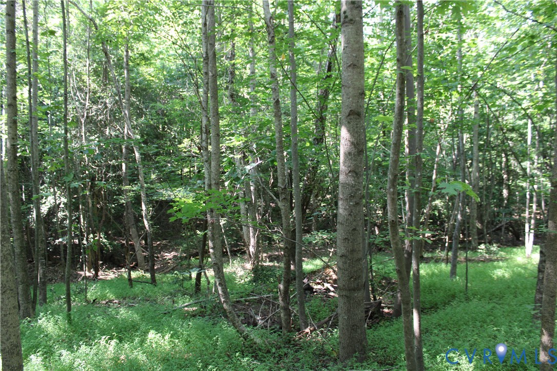 6221 Sturgeon Point Road Providence Forge, VA 23140 - Photo 24 of 26 Wooded land parcel featuring mature trees and lush