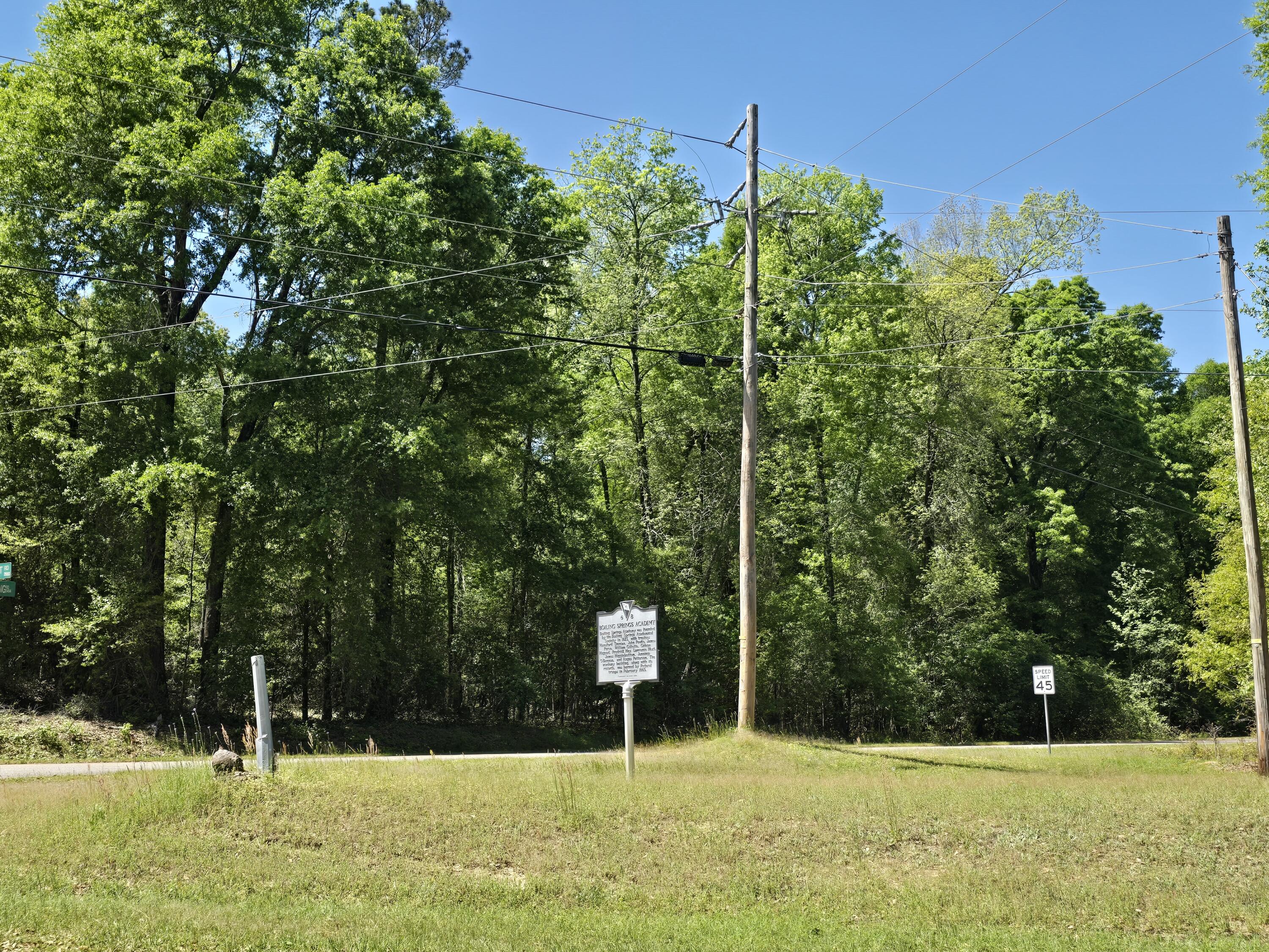 0 Boiling Springs Road Barnwell, SC 29812 - Photo 7 of 8 Gallery Image 7