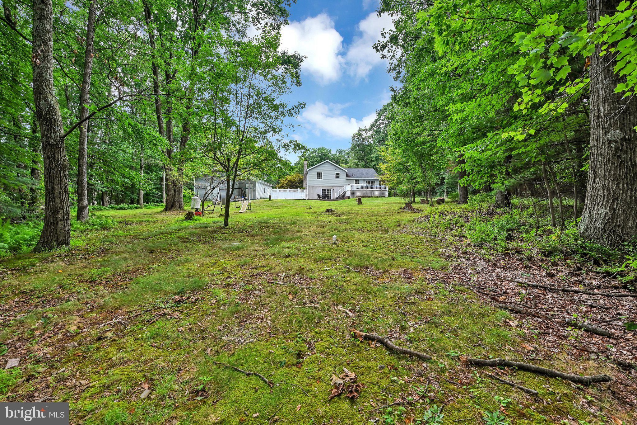 696 Pine Hill Road Andreas, PA 18211 - Photo 37 of 38 Exterior Back