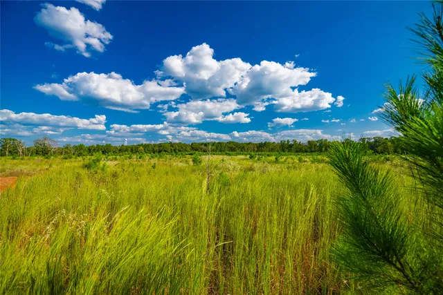 a view of a yard with an empty room