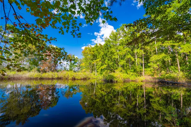a view of a garden with a building