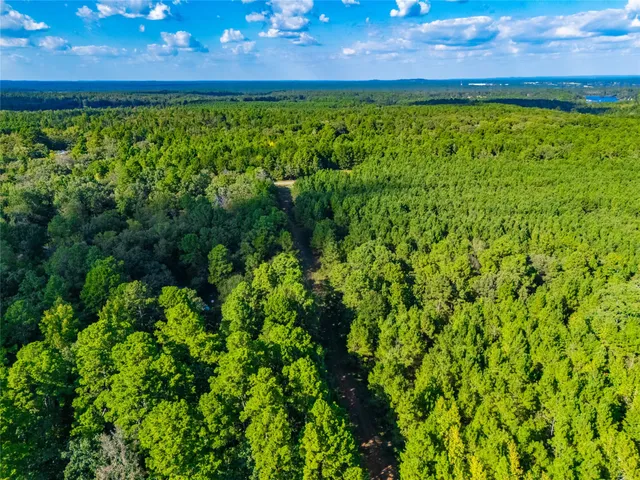 a view of a yard with an outdoor space