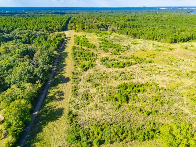 $694,305 | Tbd Tbd Fm-1137, Palestine, TX 75801