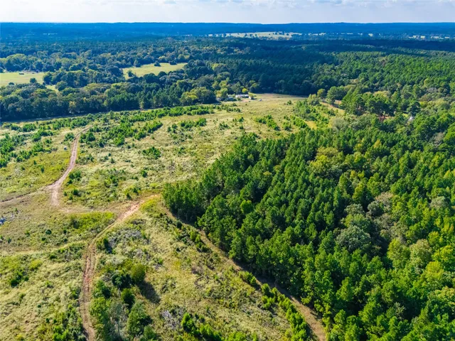 $694,305 | Tbd Tbd Fm-1137, Palestine, TX 75801