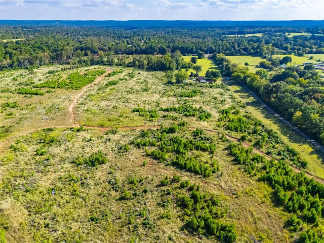a view of a city with lush green forest
