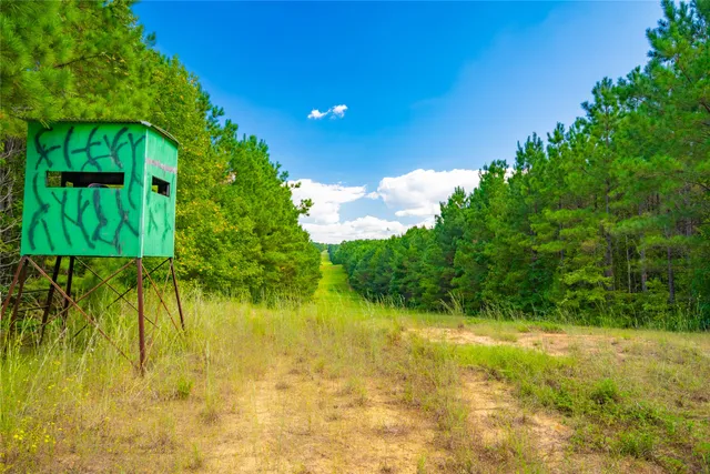 a view of swimming pool from a yard
