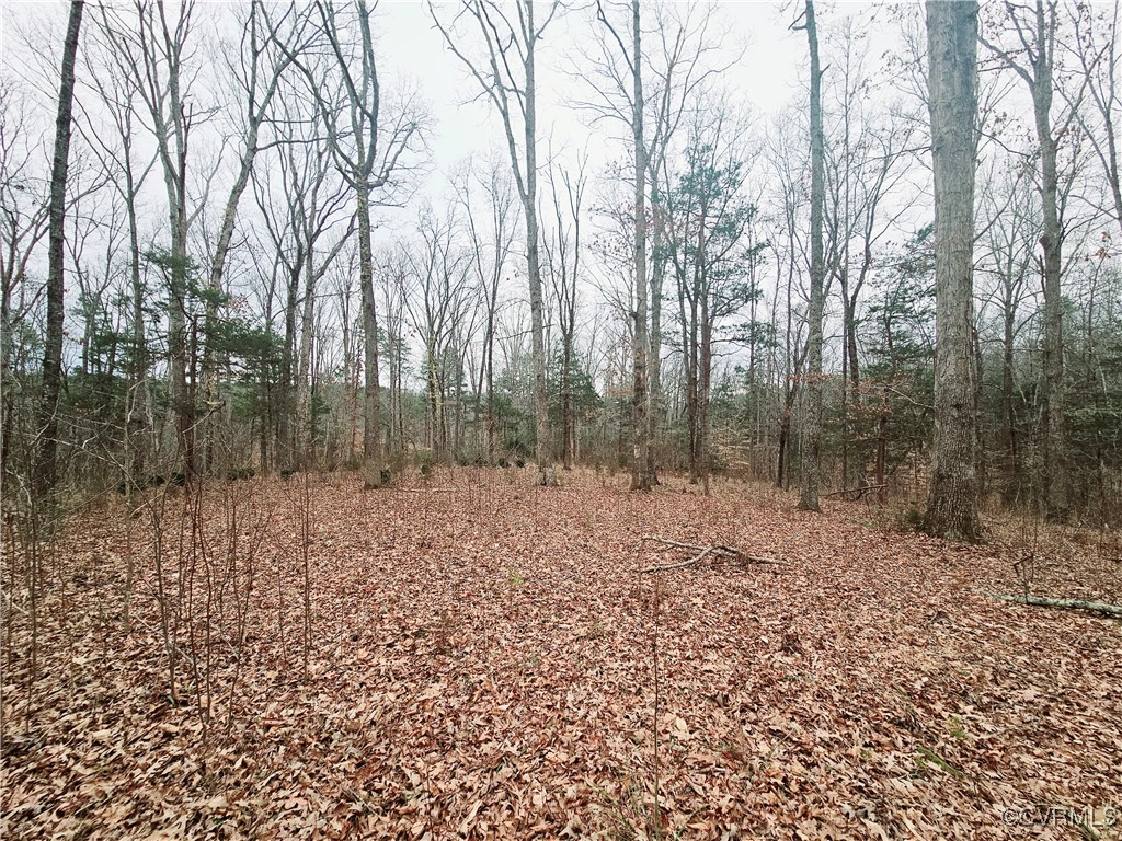 1198 Lickinghole Road Goochland, VA 23063 - Photo 11 of 20 a view of a yard with trees