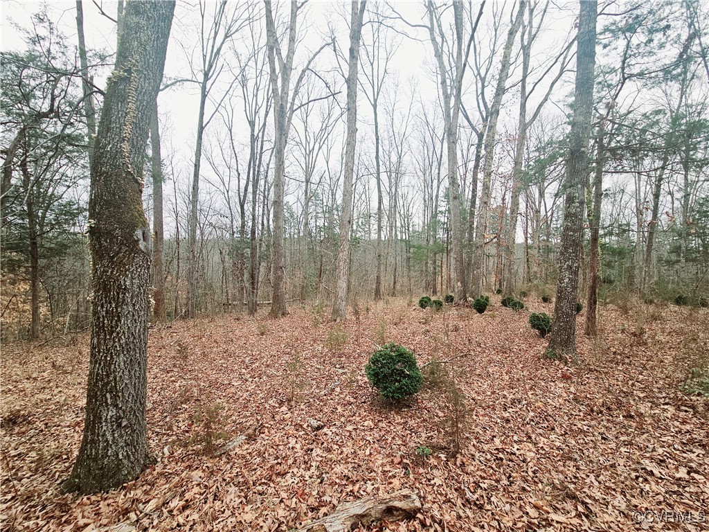 1198 Lickinghole Road Goochland, VA 23063 - Photo 12 of 20 a view of a yard with trees