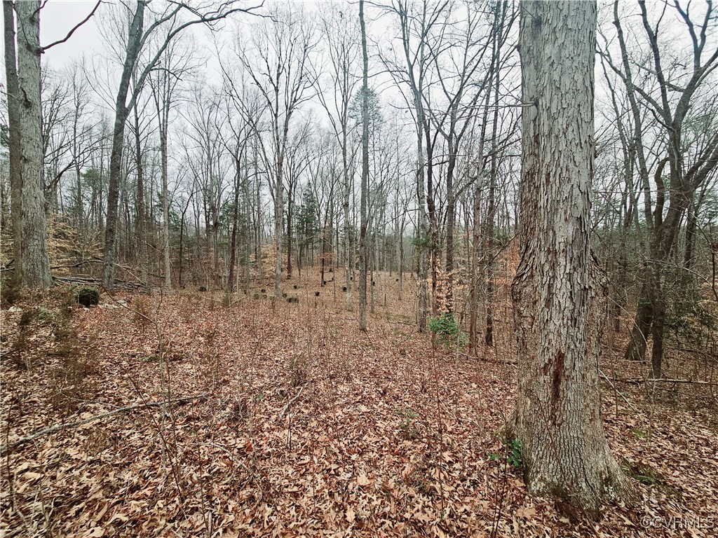 1198 Lickinghole Road Goochland, VA 23063 - Photo 13 of 20 a view of a yard with lots of green space