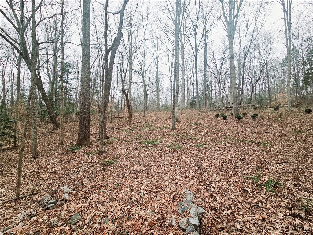 1198 Lickinghole Road Goochland, VA 23063 - Photo 14 of 20 a view of a backyard with trees