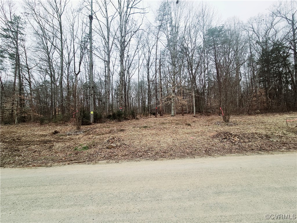 1198 Lickinghole Road Goochland, VA 23063 - Photo 15 of 20 a backyard of a house with lots of green space