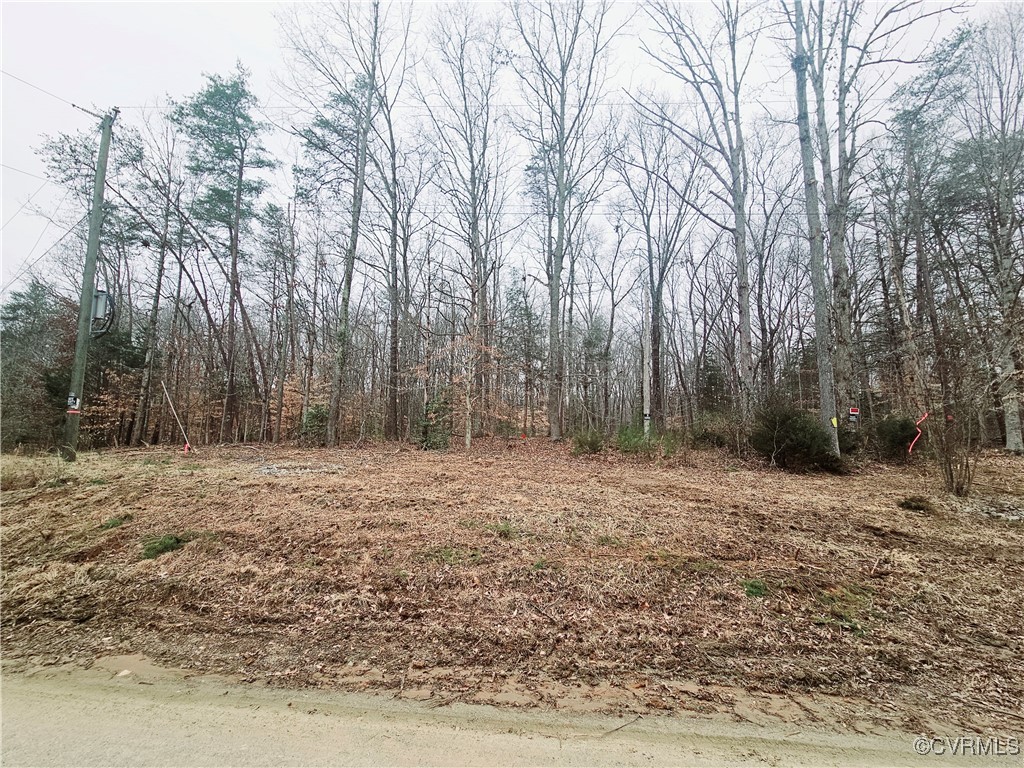 1198 Lickinghole Road Goochland, VA 23063 - Photo 16 of 20 a fire hydrant in the middle of a field