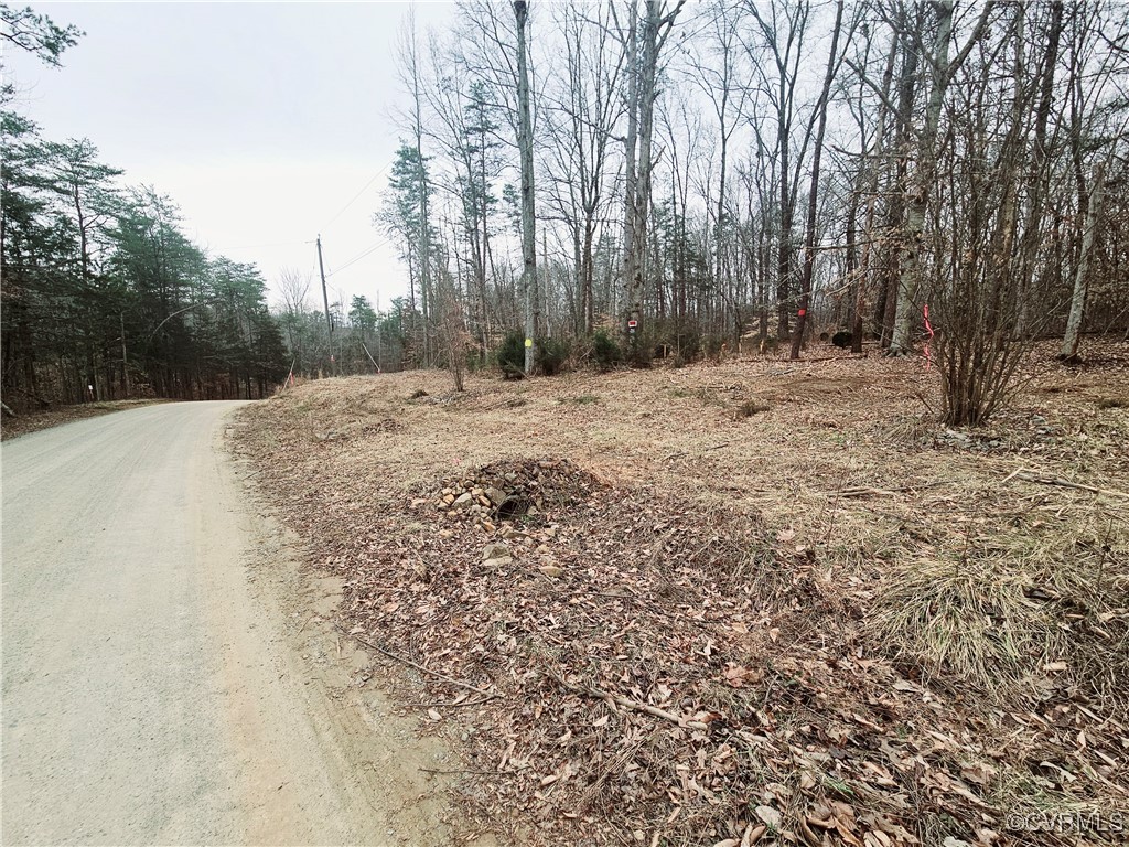 1198 Lickinghole Road Goochland, VA 23063 - Photo 2 of 20 a view of a yard with trees